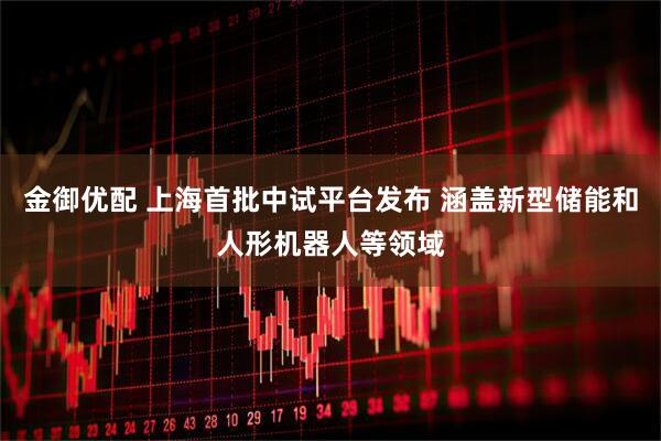 金御优配 上海首批中试平台发布 涵盖新型储能和人形机器人等领域
