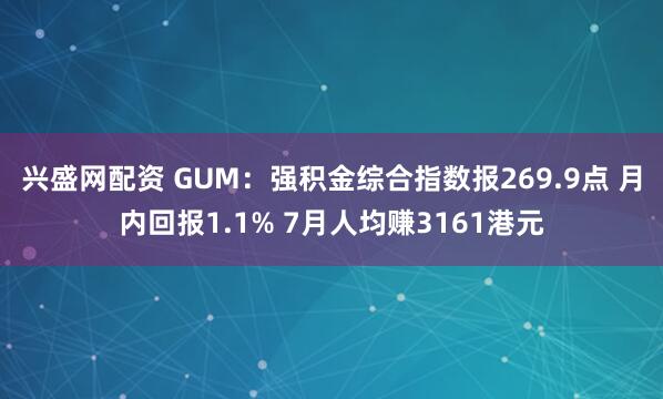 兴盛网配资 GUM：强积金综合指数报269.9点 月内回报1.1% 7月人均赚3161港元